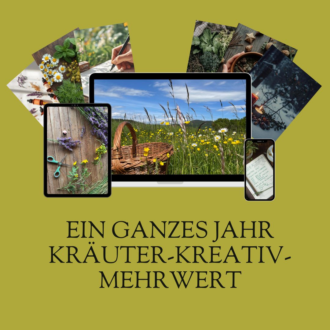 Kongresspaket